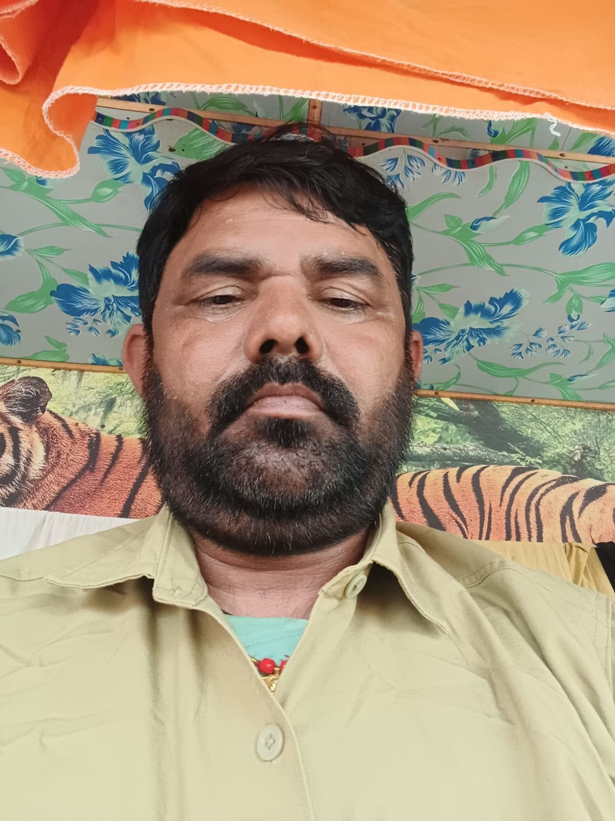 रामनाथ राय