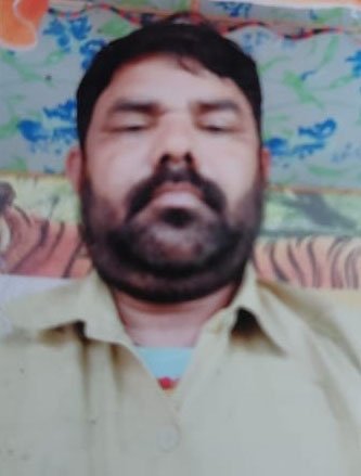 रामनाथ राय