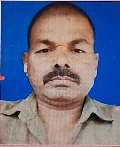 भरत राय