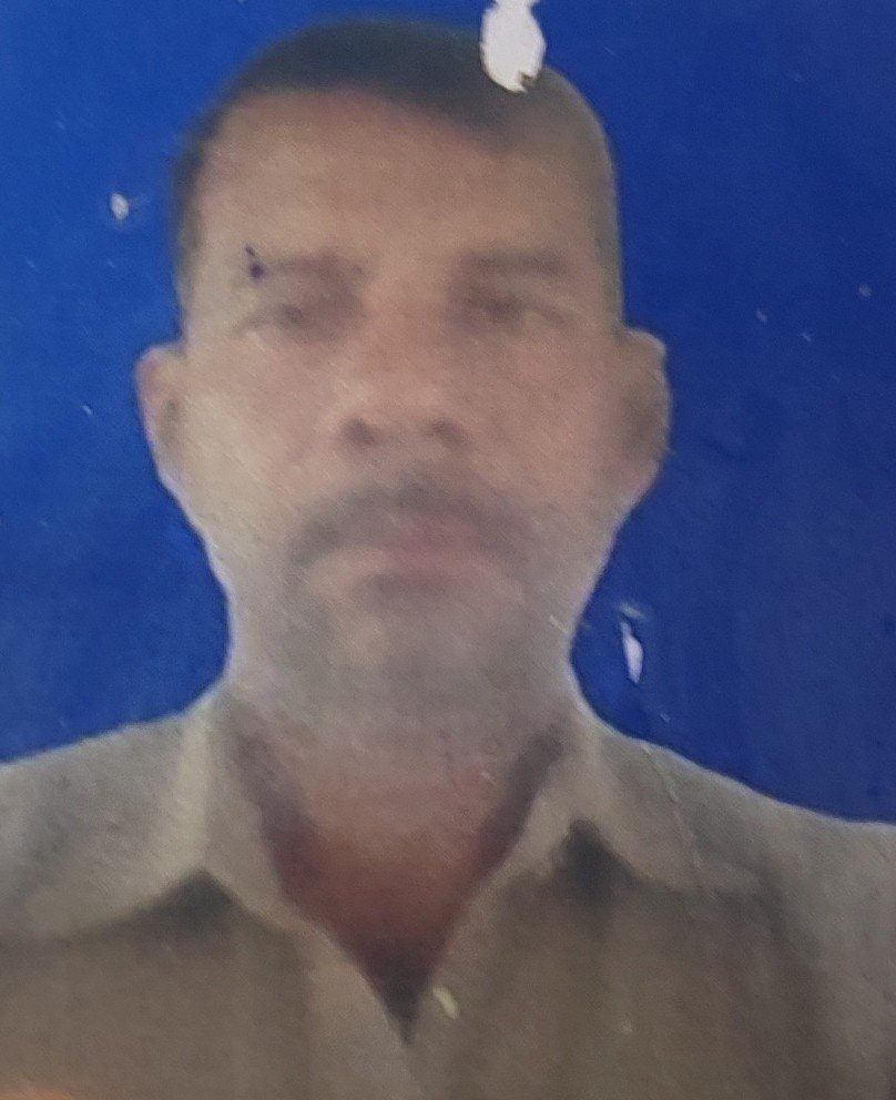 विद्या राय